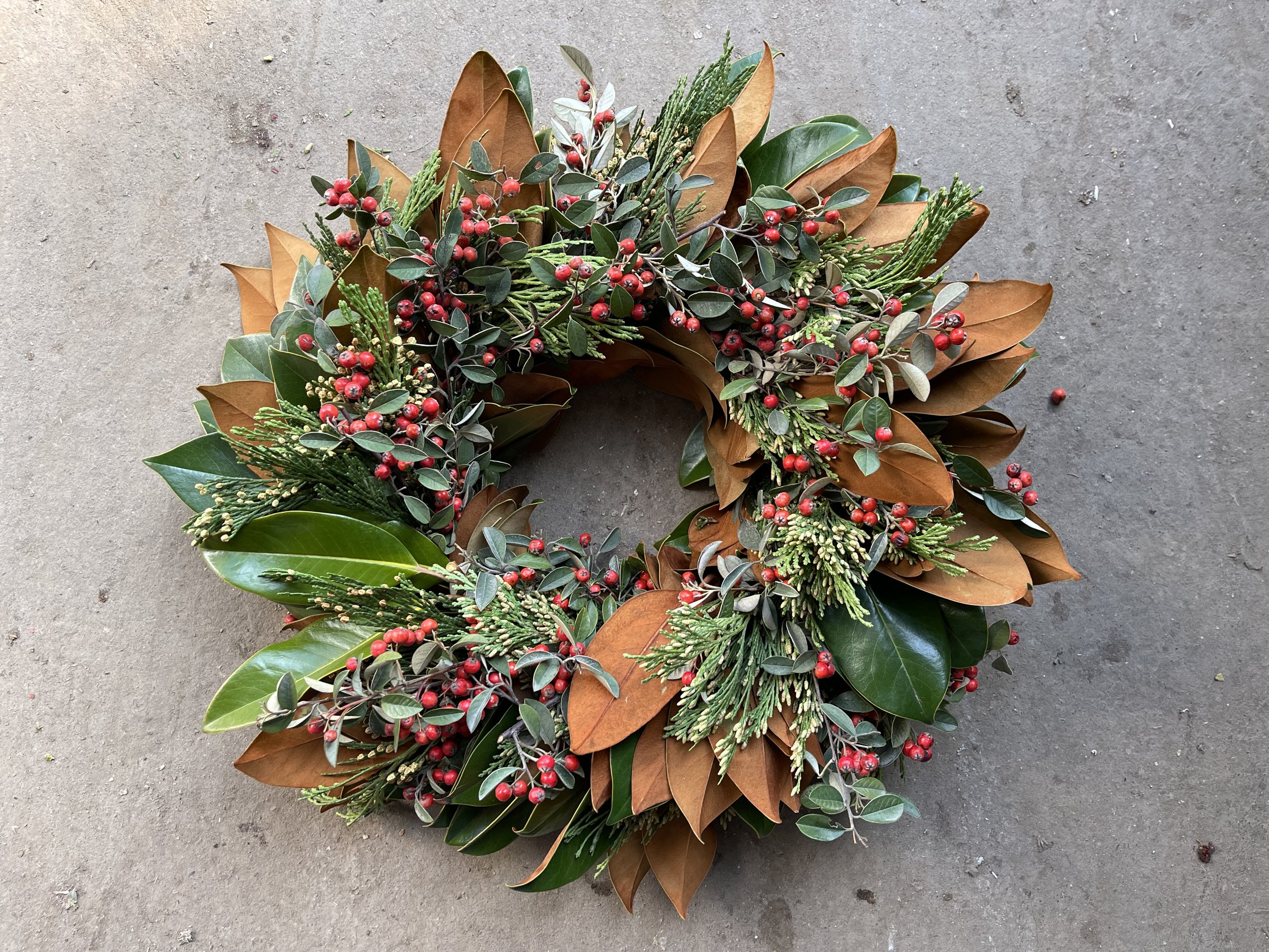 Magnolia, Cedar Incense, Cotoneaster.JPG