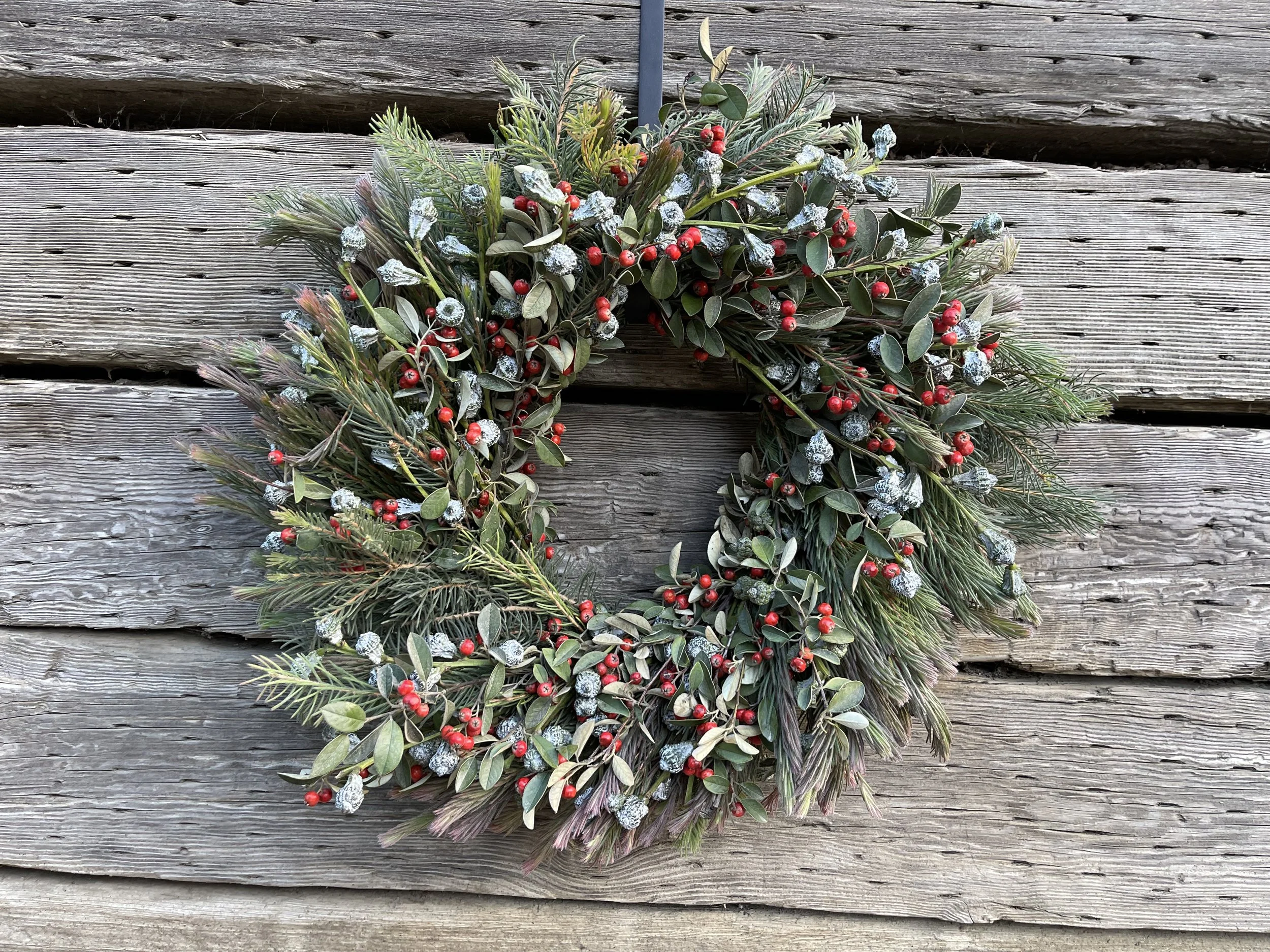 Pine Aussie, Pods. Silver Bells, Cotoneaster.JPG