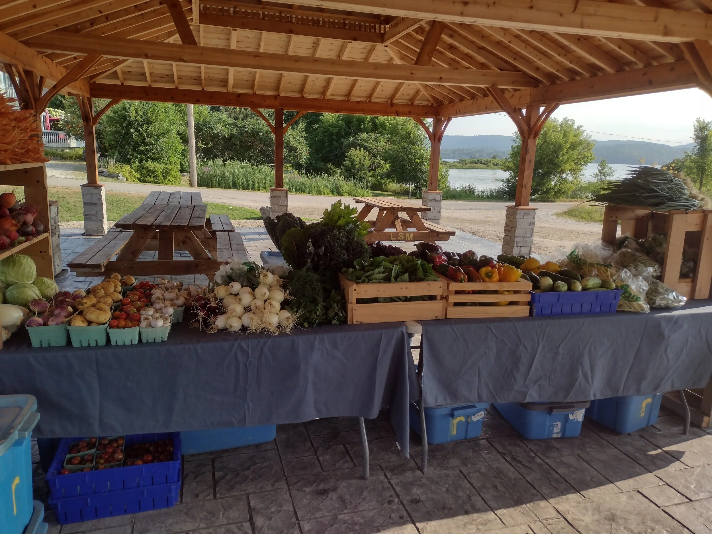 IMG_20250816_085045336_HDR.jpg