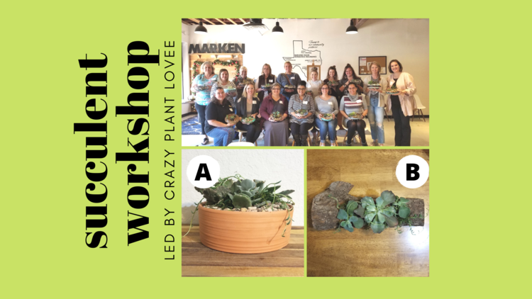 Copy+of+succulents+&+cactus+garden+workshop+(1).png