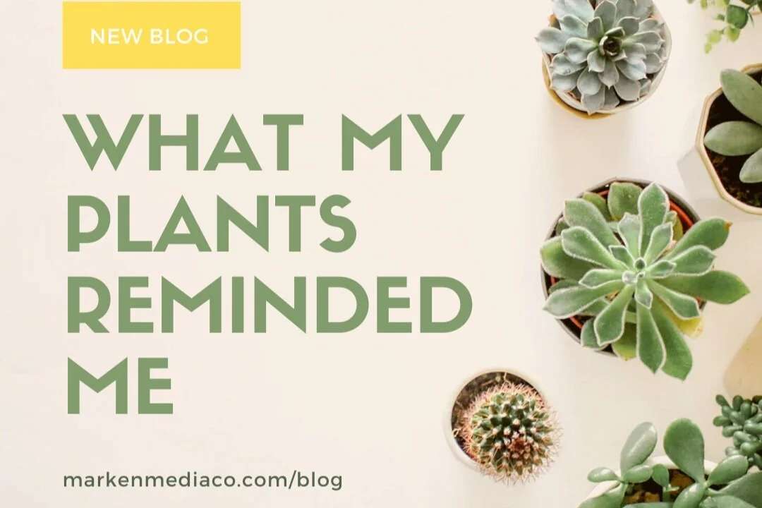 What My Plants Reminded Me