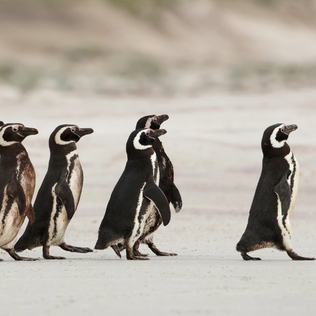 3 Ways to Turn Followers into Customers