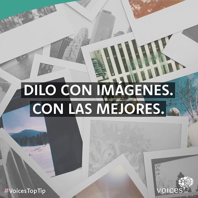 El #contenidovisual es clave en las #redessociales. Una buena foto puede garantizar el &eacute;xito de tu publicaci&oacute;n.⁣
⁣
Una #imagen puede hacer que tu #contenido sea un gran &eacute;xito o que pase desapercibido. Por eso es importante poner 