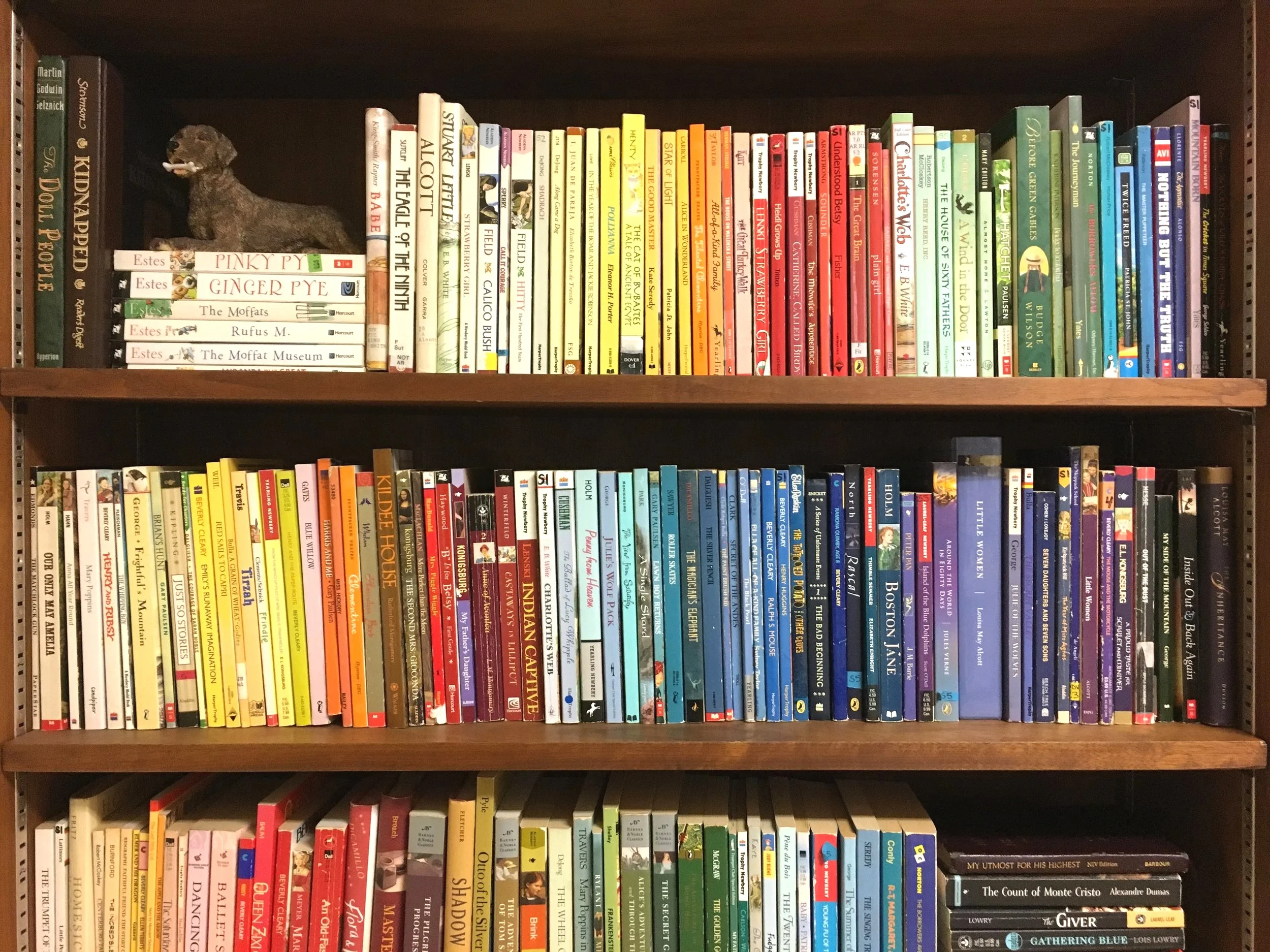 Your Books are Safe From Marie Kondo!