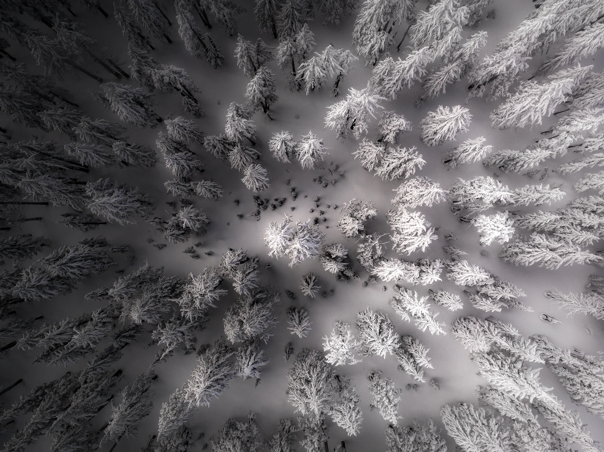DJI_0079 Web.jpg