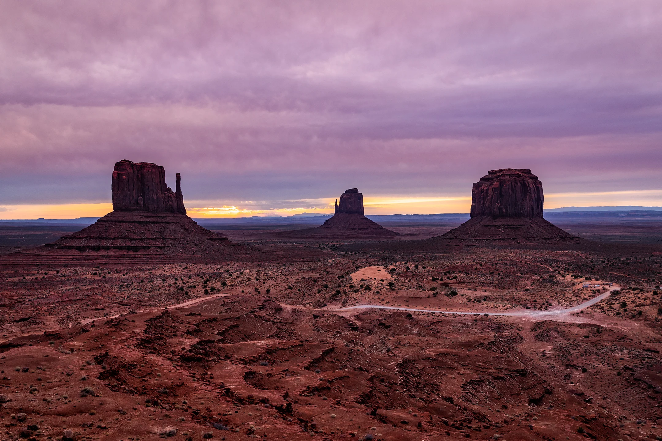 AP0A7736 Web.jpg