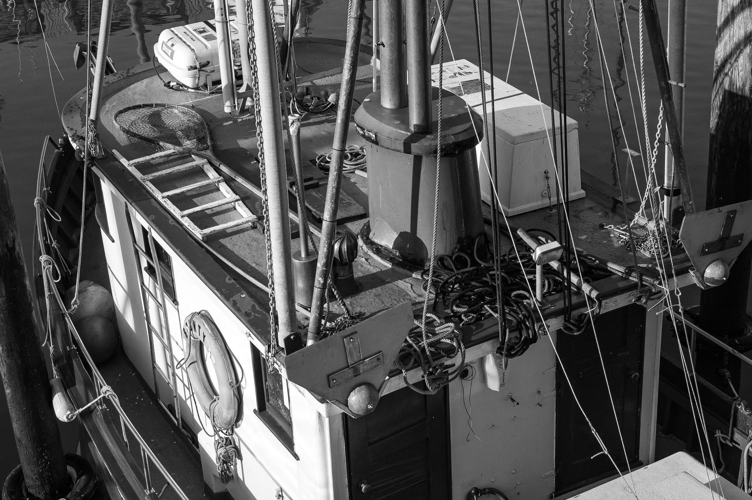 L1013400.jpg