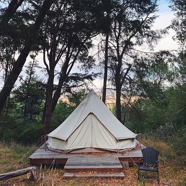 autumnal west marin vibes...✨🔼🍂
.. 📷 @sethsmoot