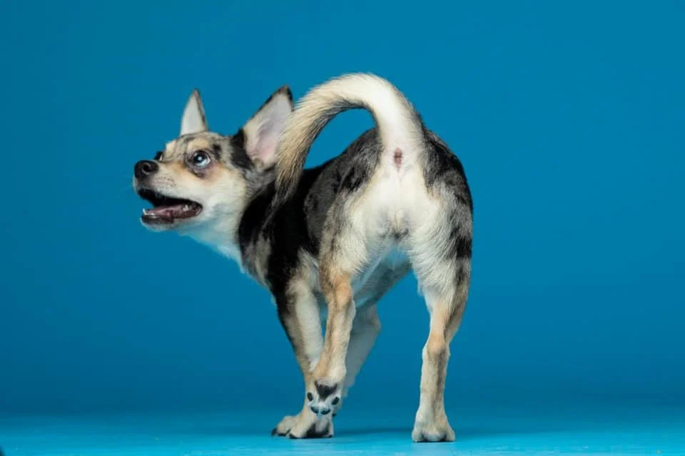 Uh oh, looks like something got turned around