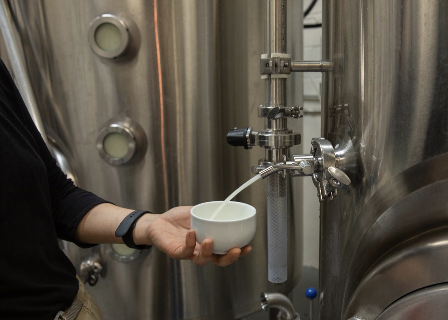 Microorganisms &amp; Meaningful Roots of Makgeolli