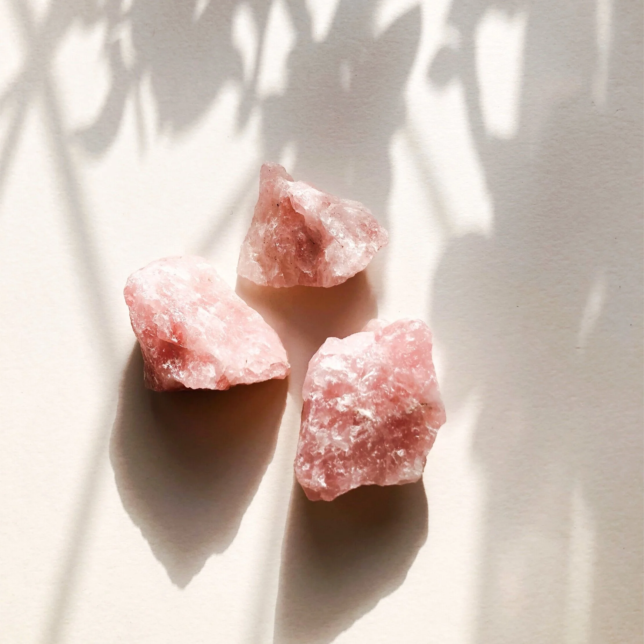 037148F6-E086-443D-95B7-BC1AF5A233B2