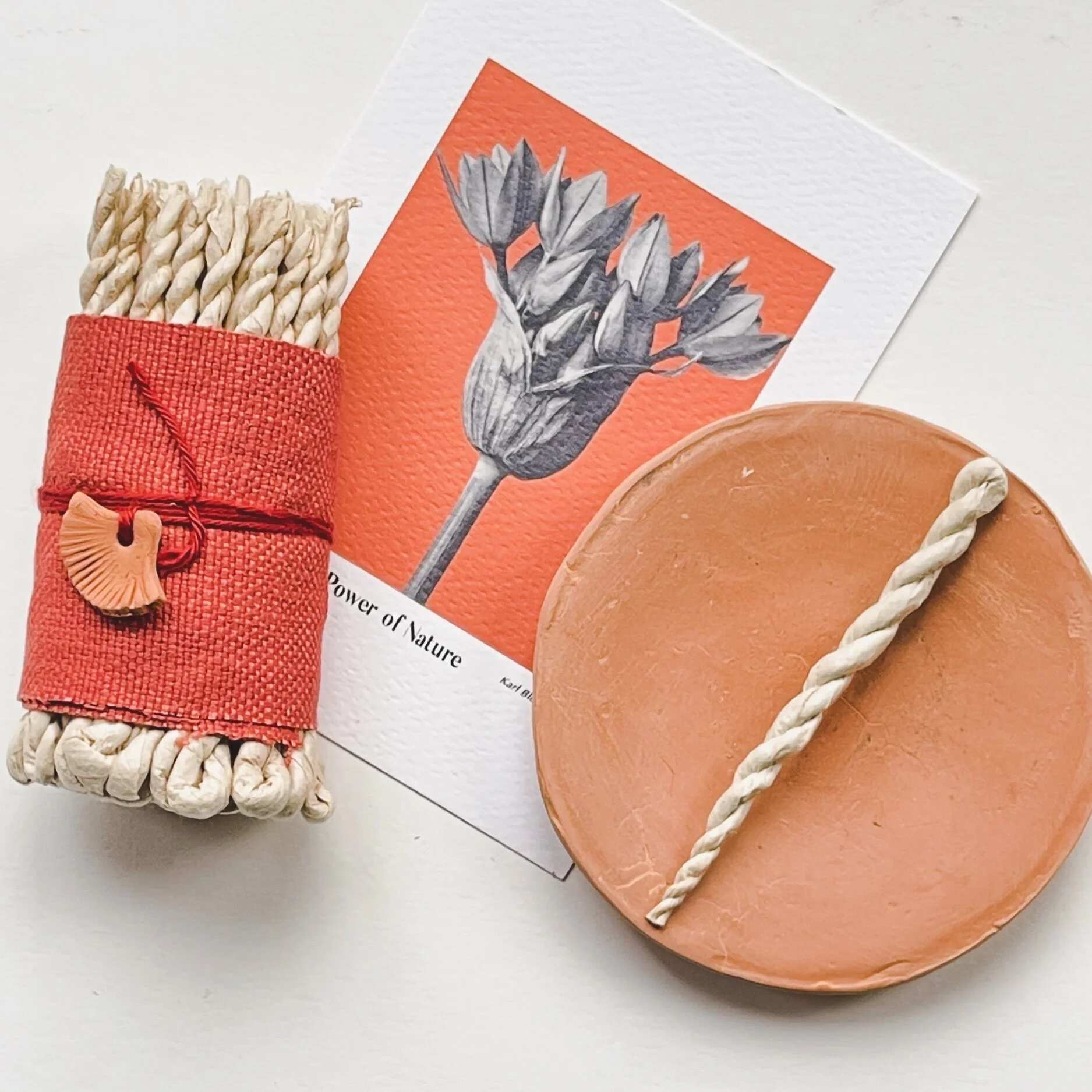 7629EEEC-F2C3-4D29-A2E4-CE79D9BA7B85