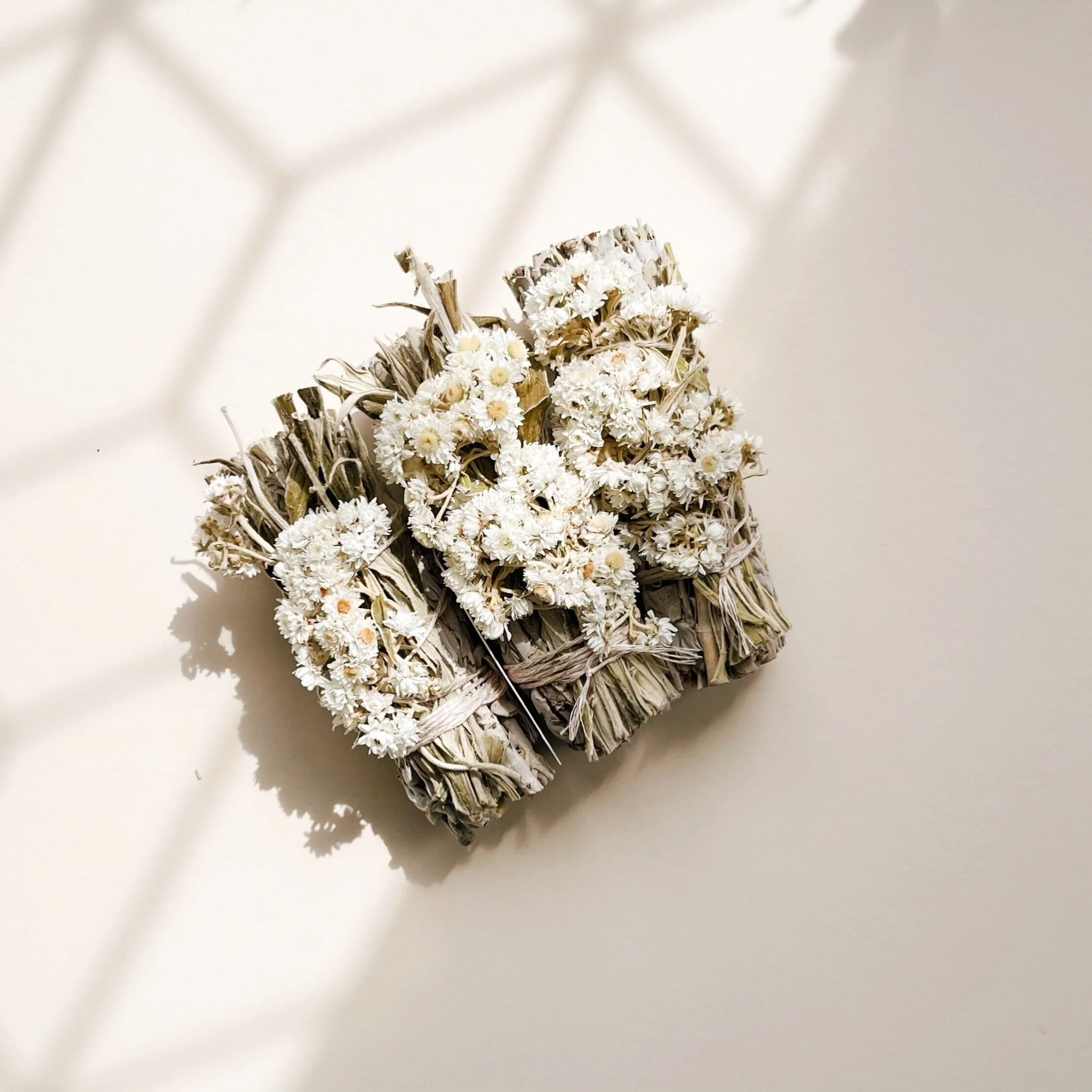 02E8FC73-A694-473B-8336-C3ADEB560C2A