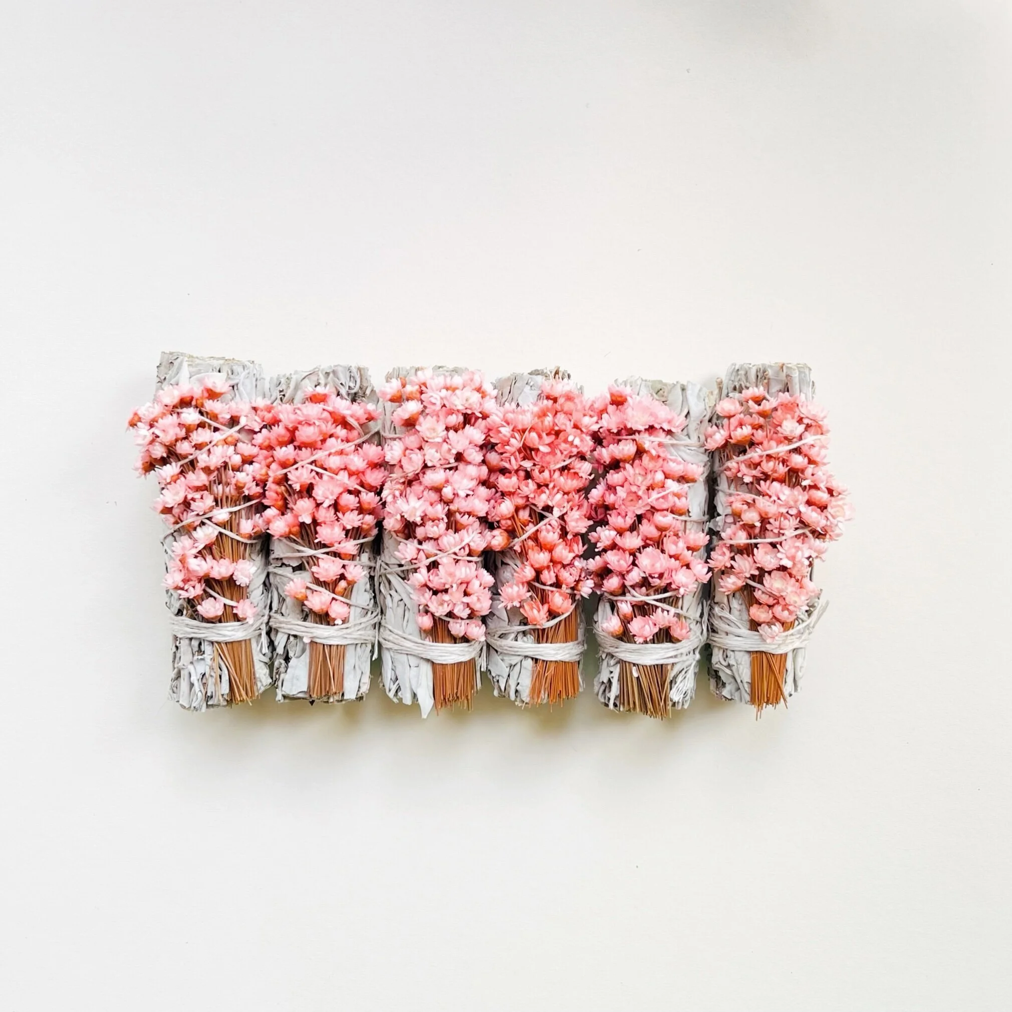 6511D324-4E8F-4725-9DEF-F751EAAB4BE7