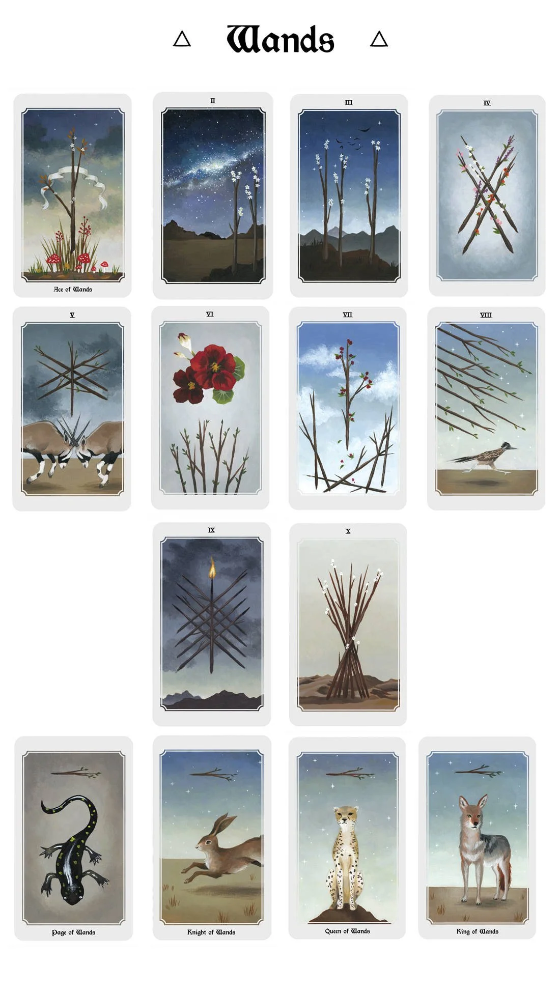Anima-Mundi-Tarot-Wands-Cards.jpg