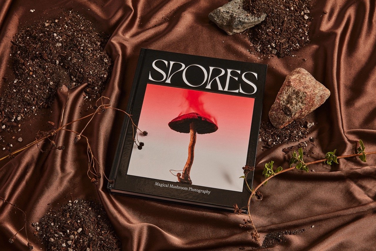 Spores-Magical-Mushroom-Photography10.jpeg