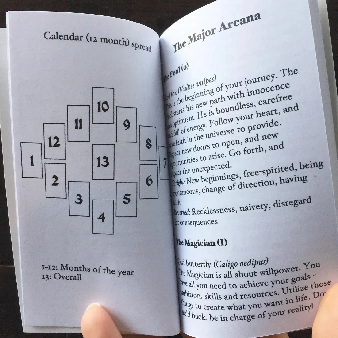 Anima-Mundi-Tarot4.jpeg