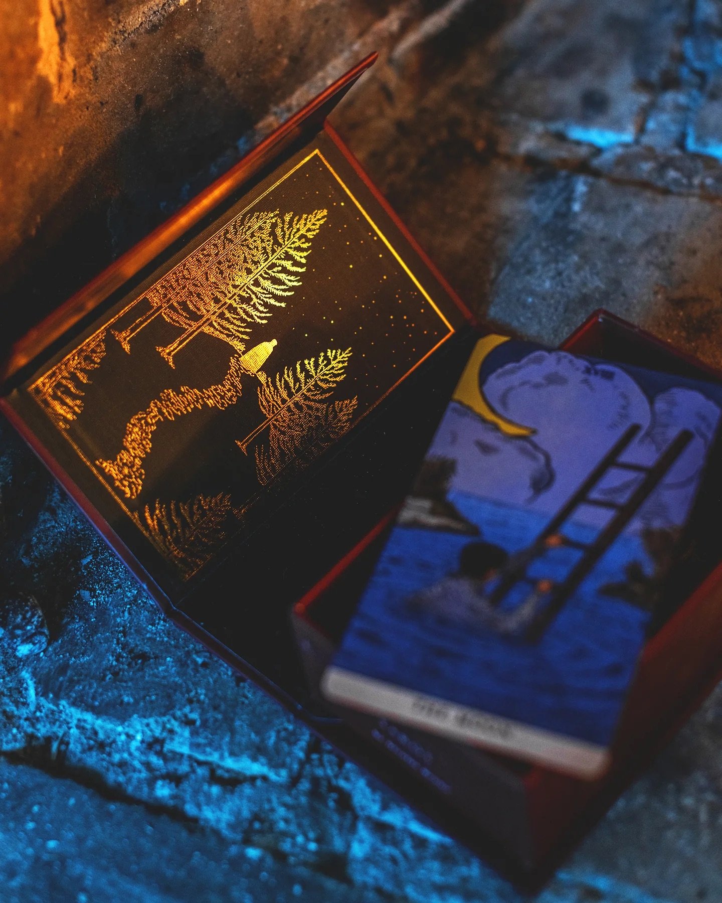 The-Somnia-Tarot-Illustrated-Edition10.jpeg