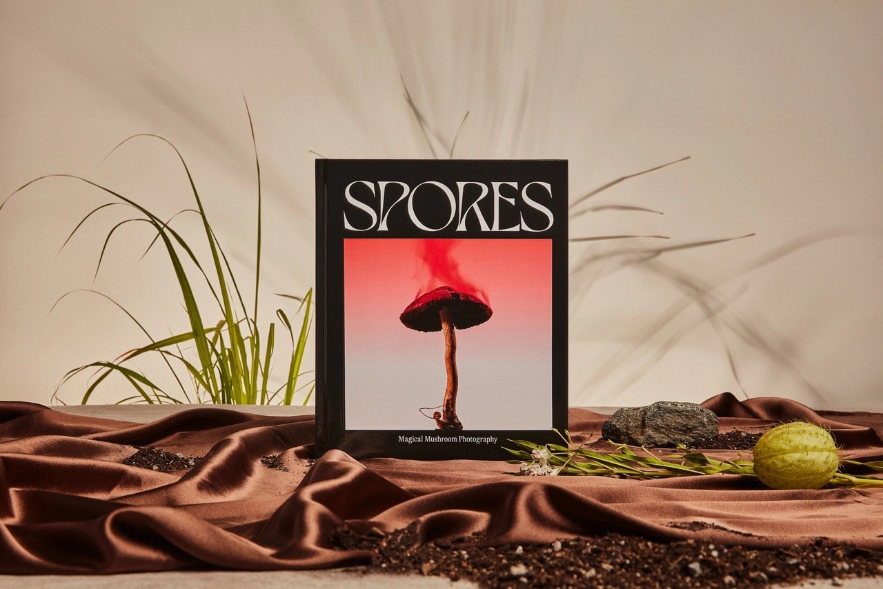 Spores-Magical-Mushroom-Photography2.jpeg