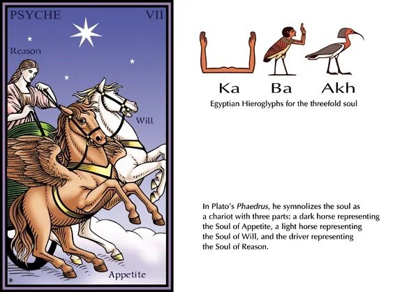 The Tarot of the Sevenfold Mystery10.jpeg