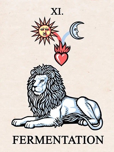 The Tarot of the Alchemical Magnum Opus13.jpeg