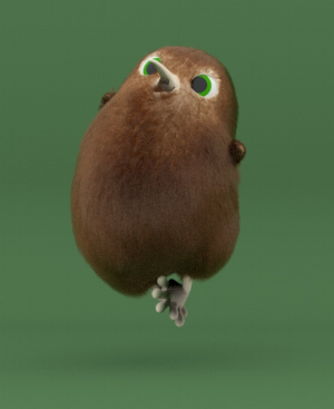 Kori the Kiwi, from our presentation title slide