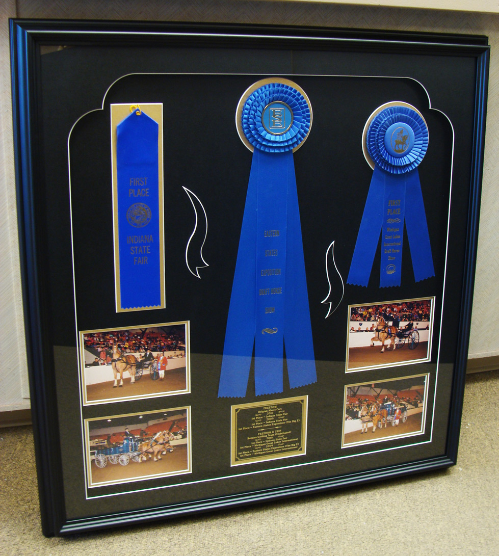 framed-ribbons-award-service-windsor-ontario-picture-this-framing.jpg