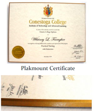 Graduation Diploma Framed on Plak It Mount