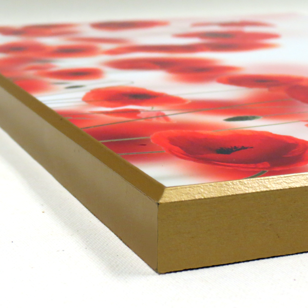 Plak-It Flushmount Frame