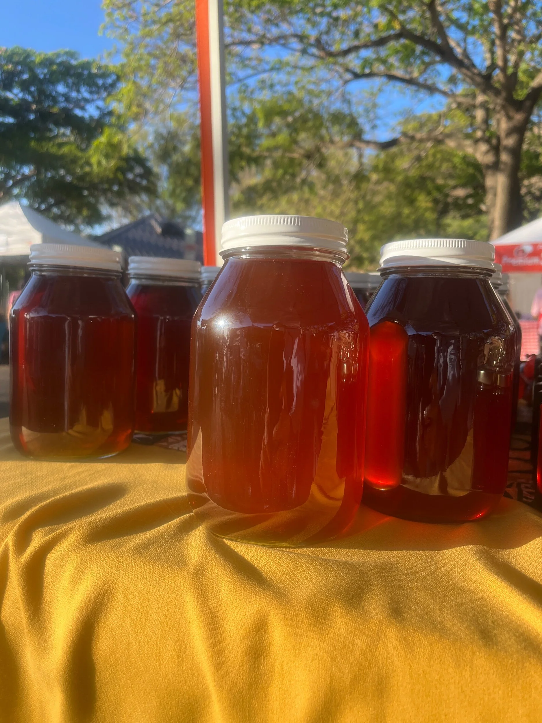 C39B458C-E35C-4186-9180-81C172289DF8