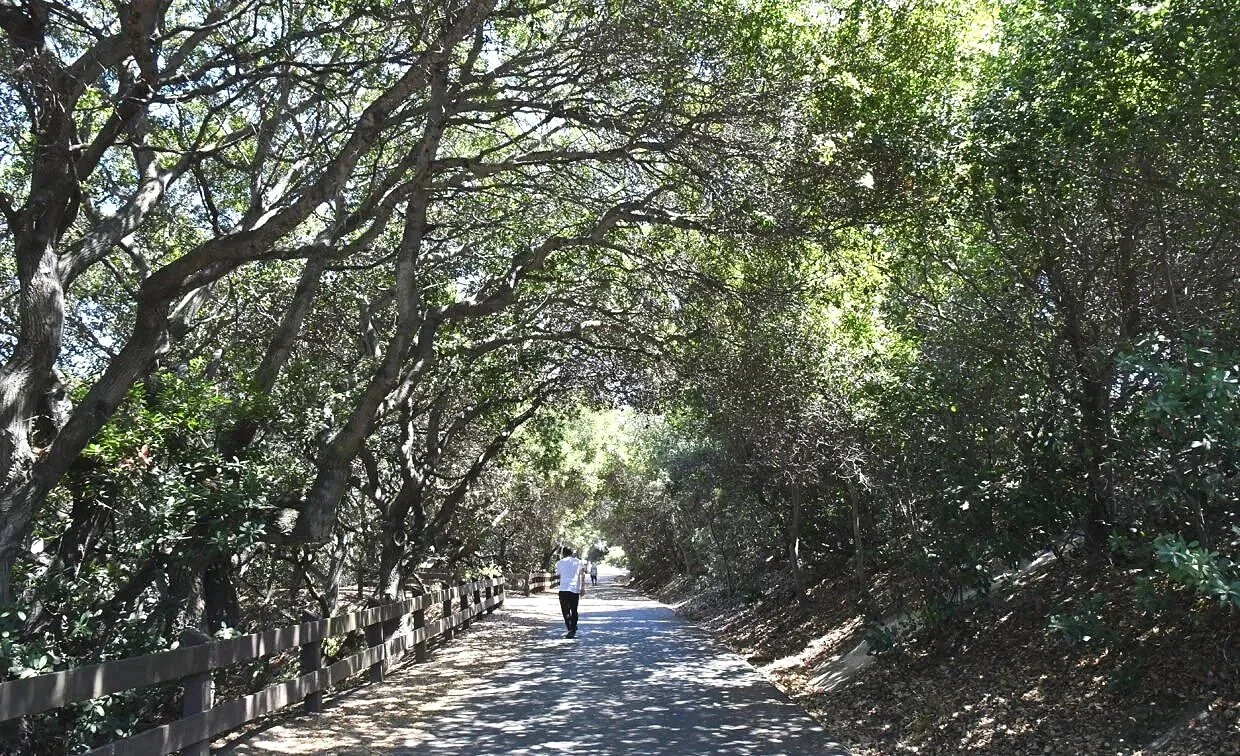Pinole Valley One of the Hidden Gems of East Bay