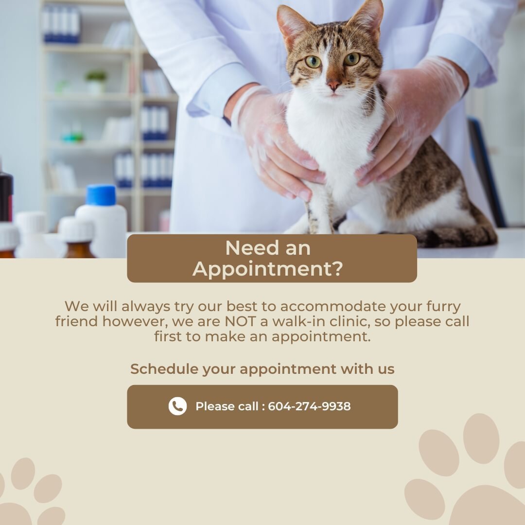 Please remember we are not a walk-in clinic! If your pet needs to be seen please call us to make an appointment. #callus #makeanappointment #vetappointment #vet #veterinary #pets #petvet #bookwithus #steveston #richmond