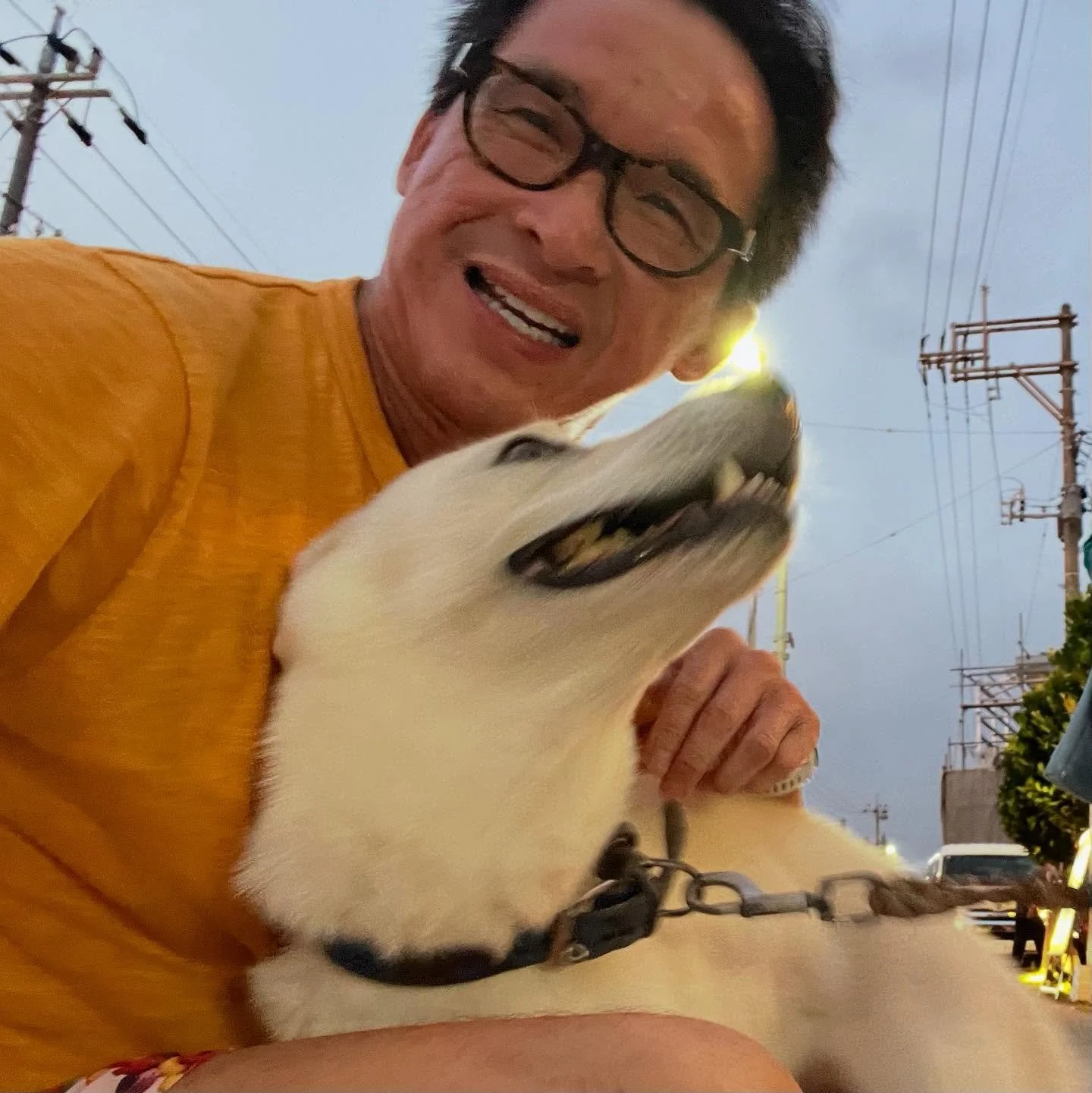 Made a new friend on the street in Okinawa. Very friendly local, no language barrier!