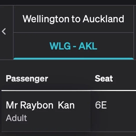🎶I'm too 6E for this plane, too 6E for this seat, too 6E for this tray taaaaaable! 🎶 If you think I'm 6E and you want my body, come on sugar, tell me so! 🔥🎵