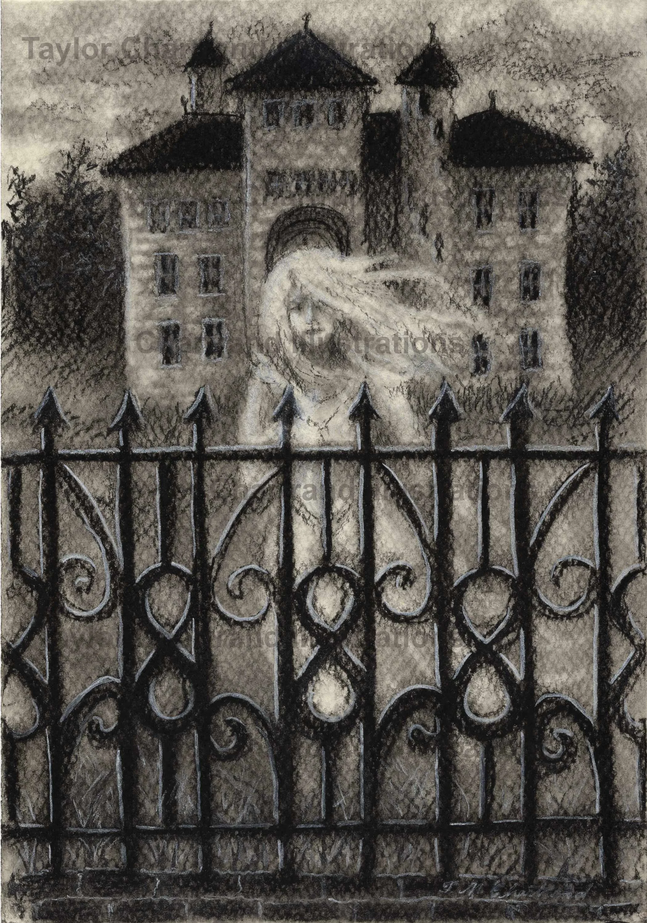 Iron Fence Protection- Watermark.jpg