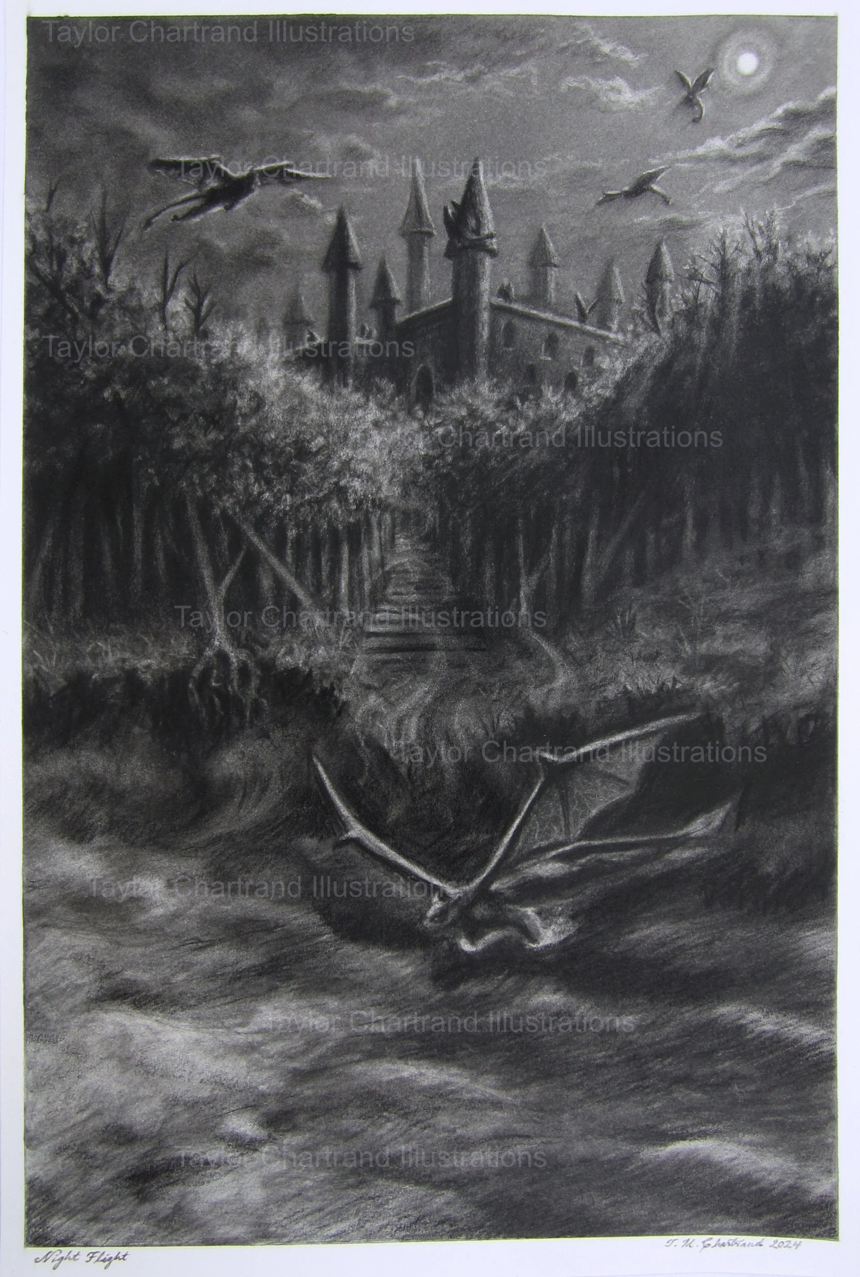 Night Flight No.4- Watermark.jpg