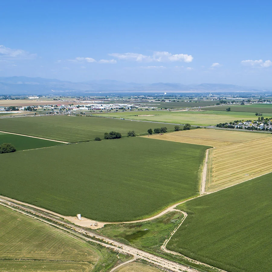 Prosper Land & Development