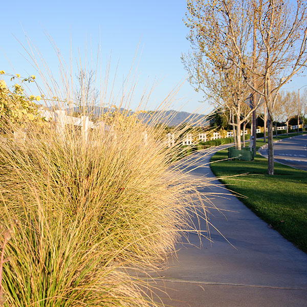 Promontory — Prosper Land & Development