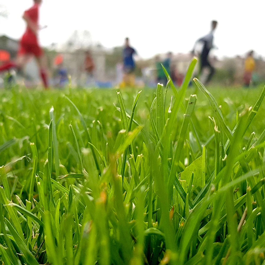 Pleasant Valley — Prosper Land & Development