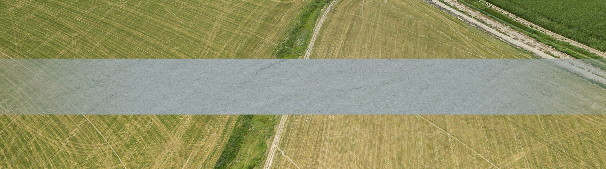 Prosper Land & Development