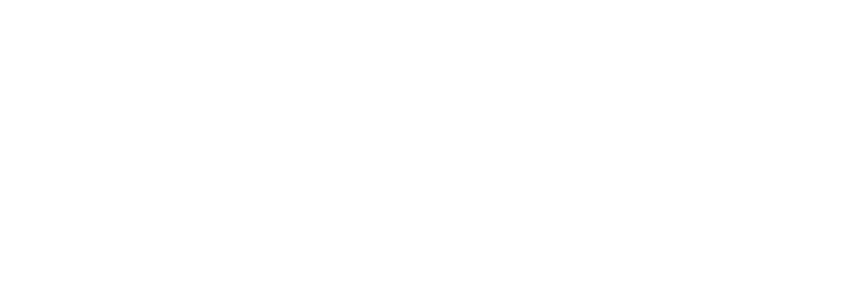 Alma Logotype_White-01.png