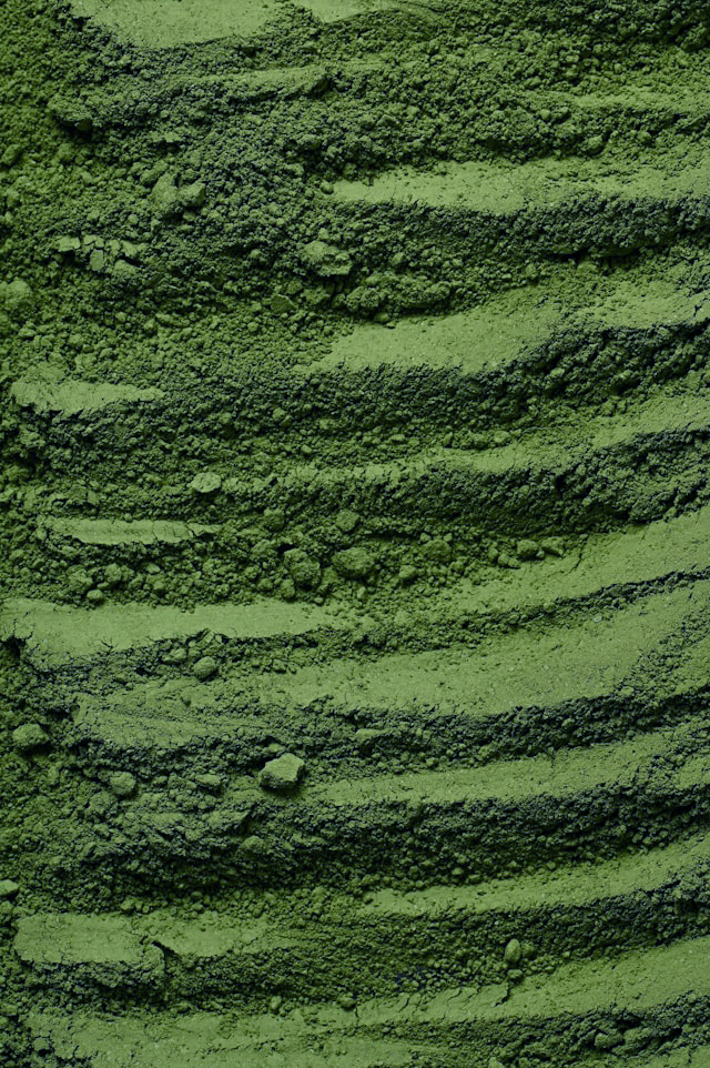 Marine Phytoplankton EPA PL (Nannochloropsis)