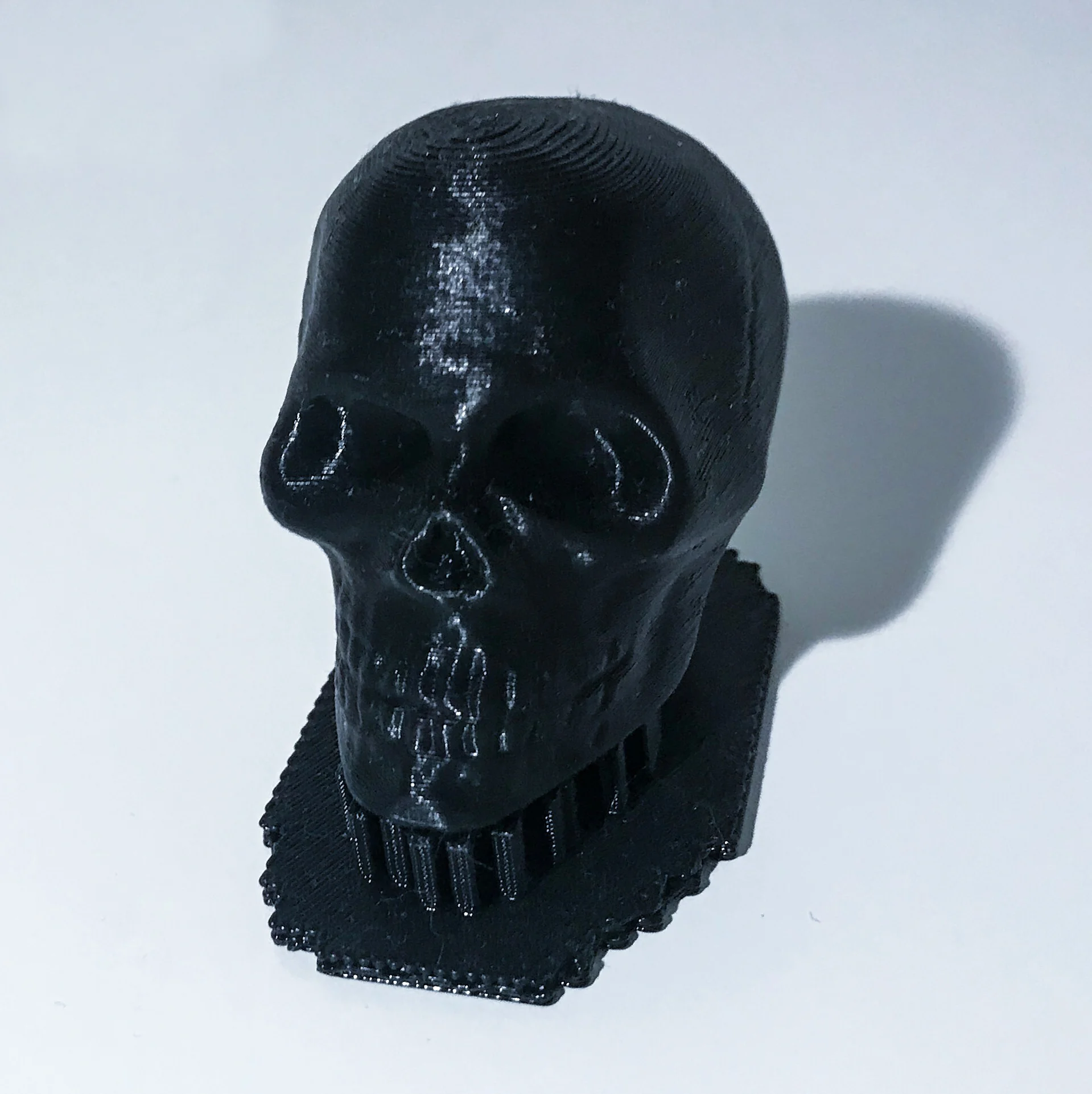    Vanitas Vanitas Ha Ha Ha  . A series based on a tragic comedy called, LIFE.     I. Snubbin’  II. Petri-Marks  III. Mournin’ MawMaw  IV. Ring O Rosie  V. Eraserhead 