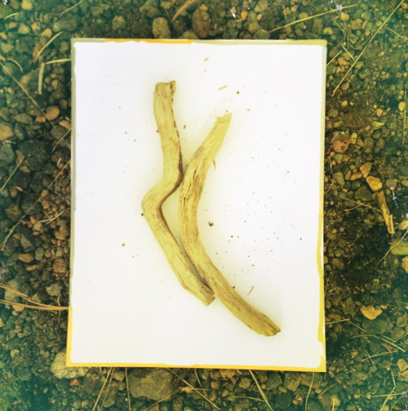    Pizza Party  . I conducted a Pizza Party with paper, paint, sticks, drawing wishes with wood wands in, on and around my natural surroundings during my residency at  Caldera.  