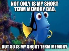 dory.jpg