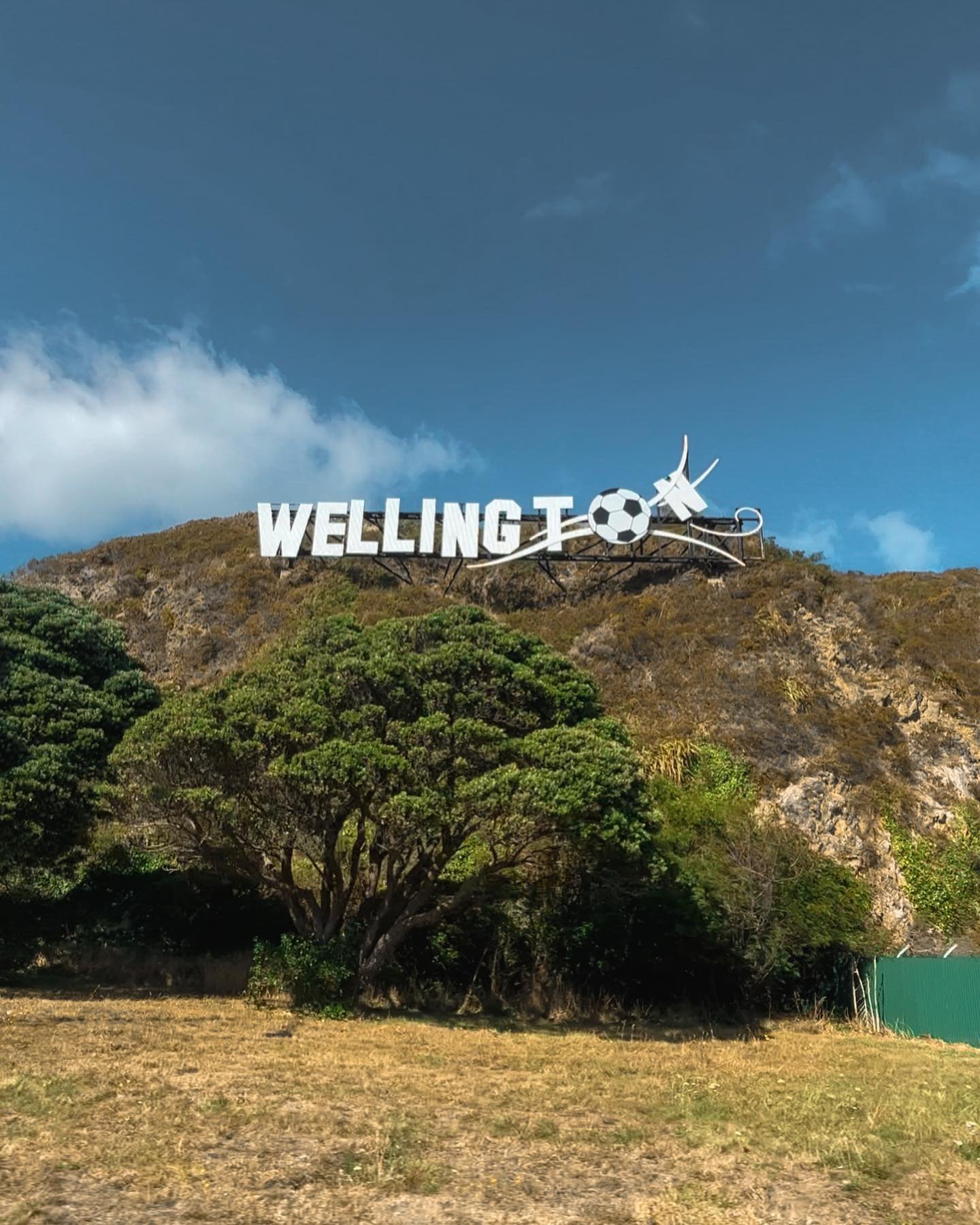 Heading to The Marion from Wellington Airport? One of the easiest ways of getting here is by bus!

Save this travel tip for your visit to The Marion ✌️