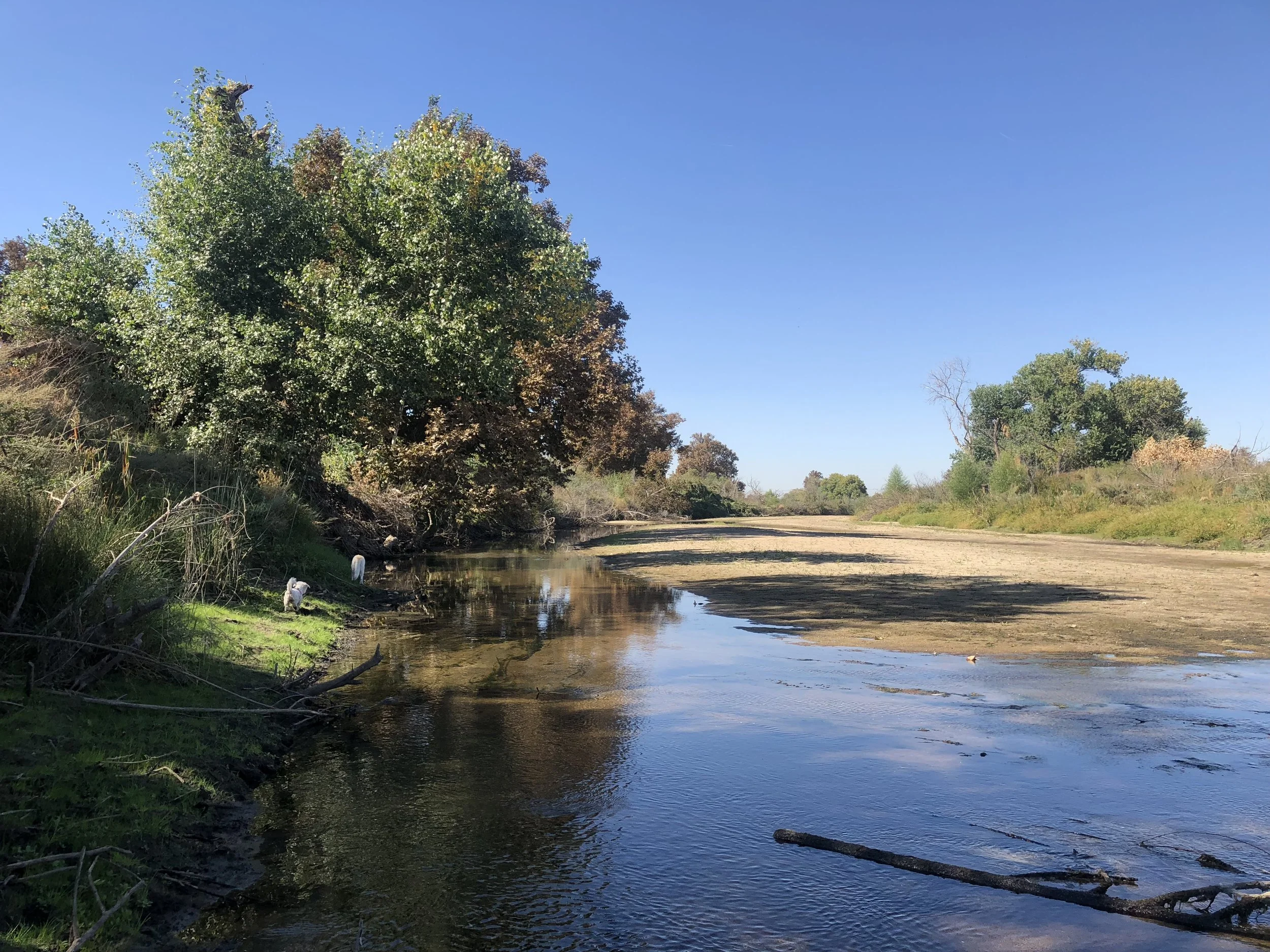 Finding something special in your own backyard