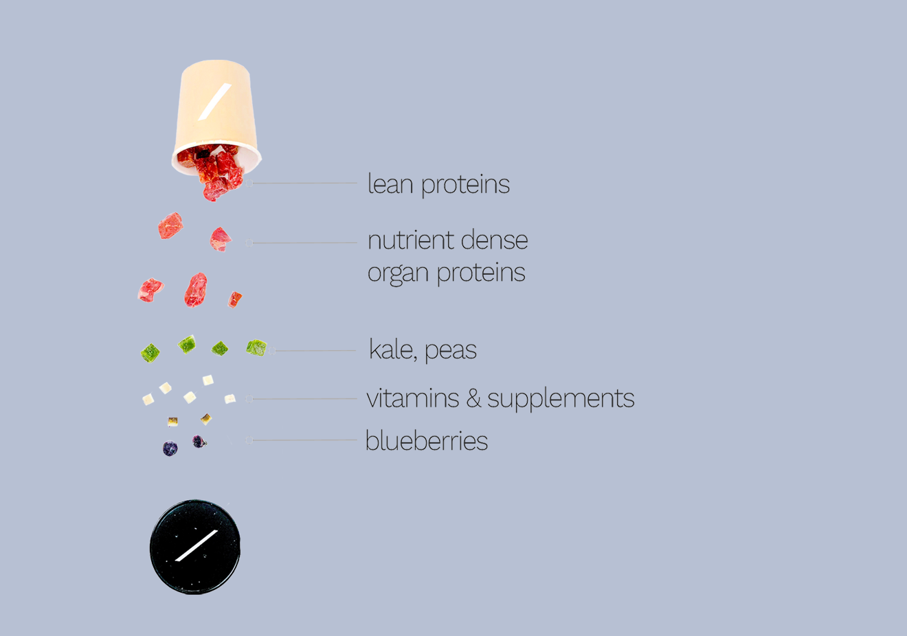 ingredient list final.png