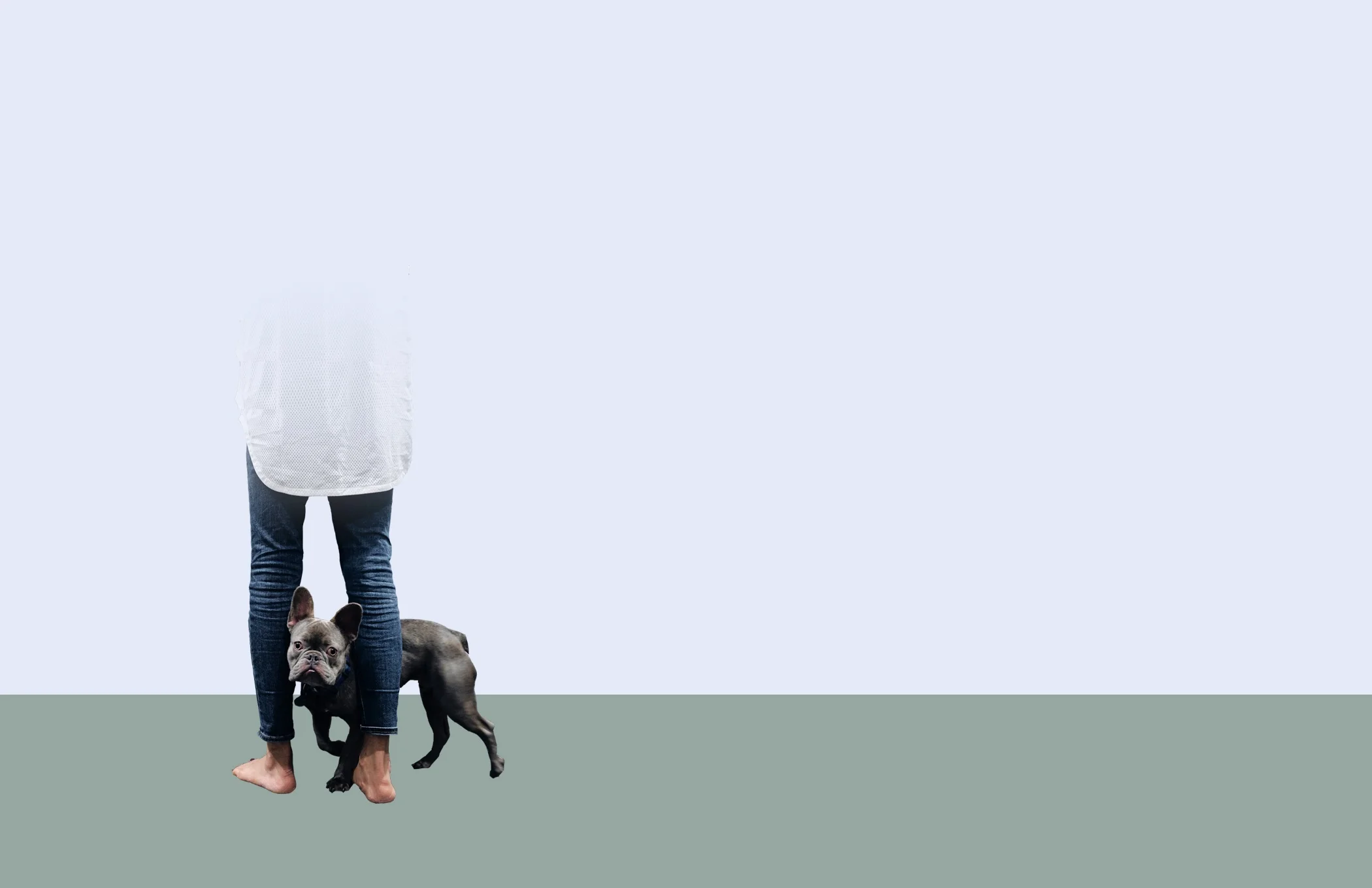 Anxious+dog+left.jpg