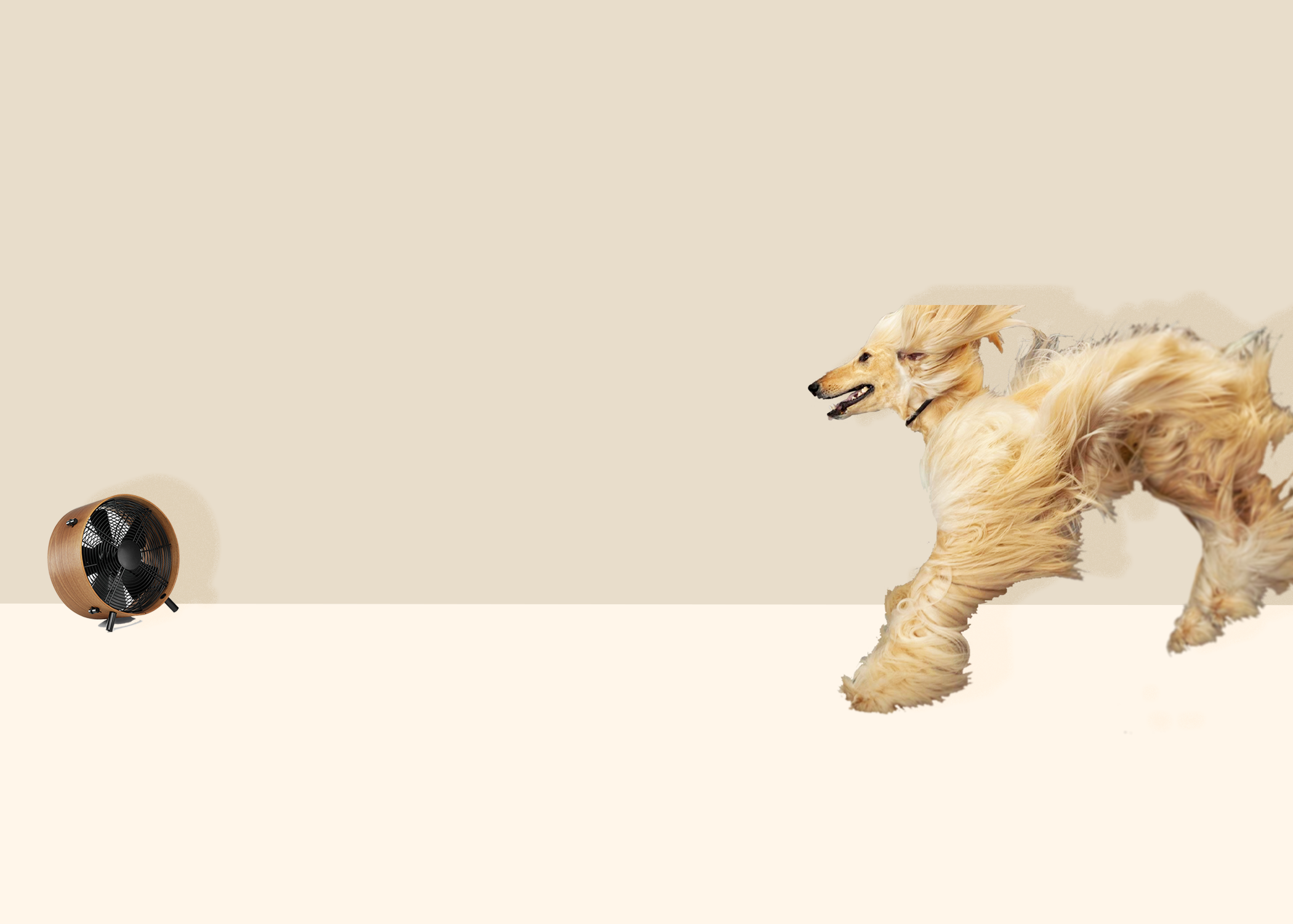 jumping dog blur.png